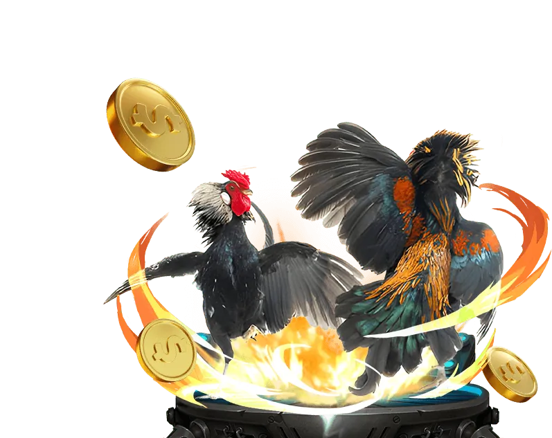 Đa dạng trò chơi cá cược tại da ga thommo